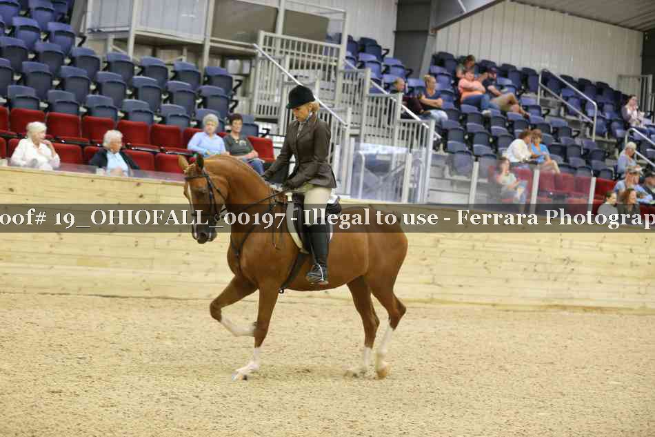 Proof 19_OHIOFALL_00197