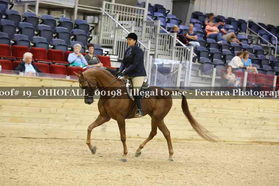 Proof 19_OHIOFALL_00198