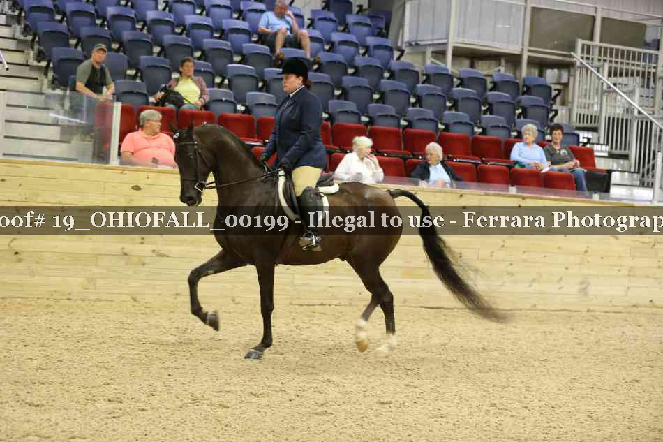 Proof 19_OHIOFALL_00199