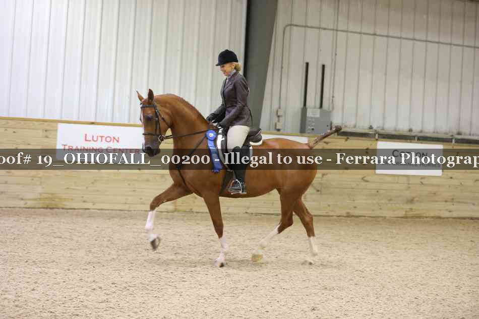 Proof 19_OHIOFALL_00200