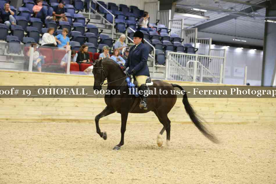 Proof 19_OHIOFALL_00201