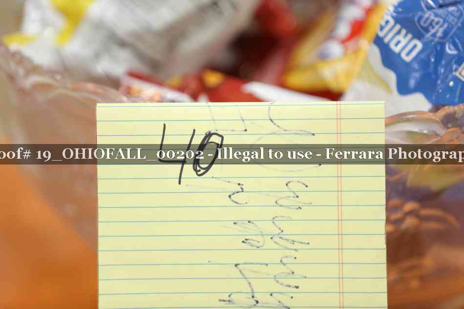 Proof 19_OHIOFALL_00202