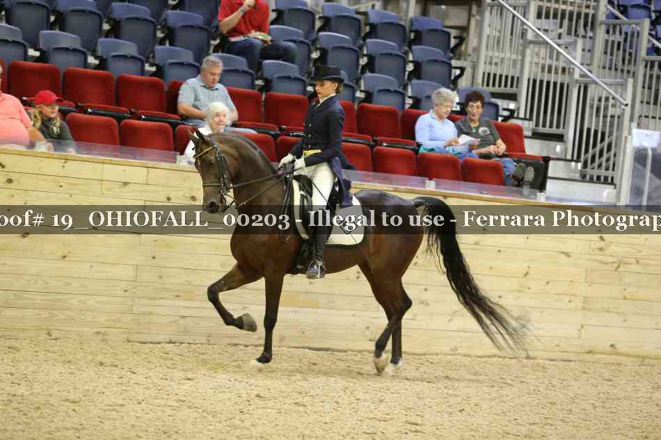 Proof 19_OHIOFALL_00203