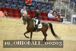 19_OHIOFALL_00203 proof