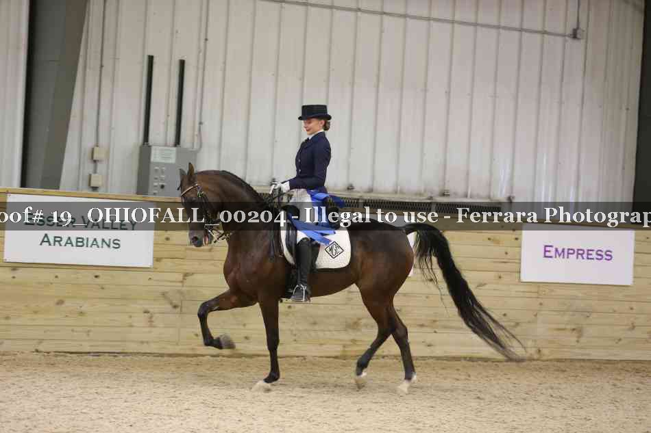 Proof 19_OHIOFALL_00204
