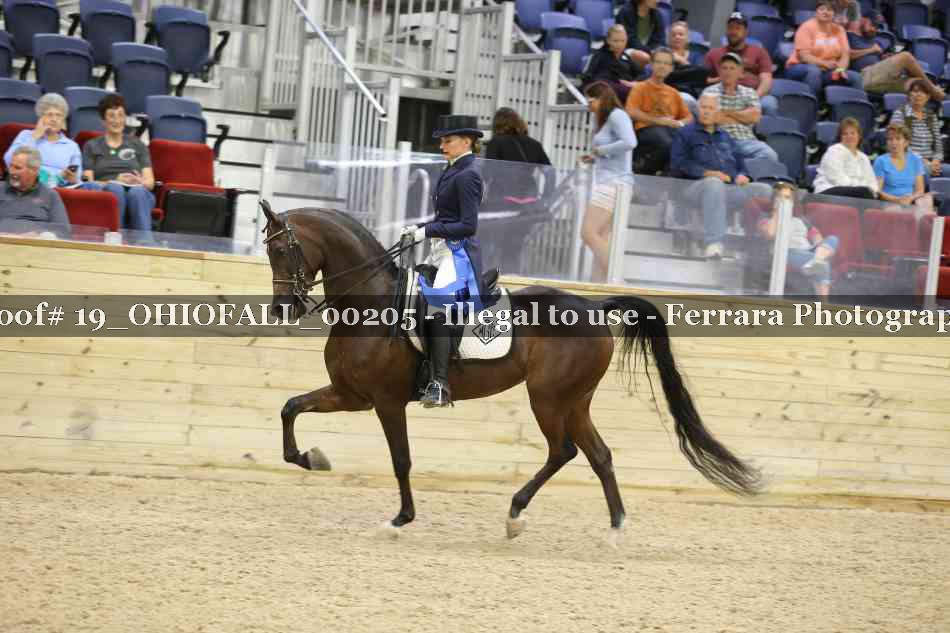 Proof 19_OHIOFALL_00205