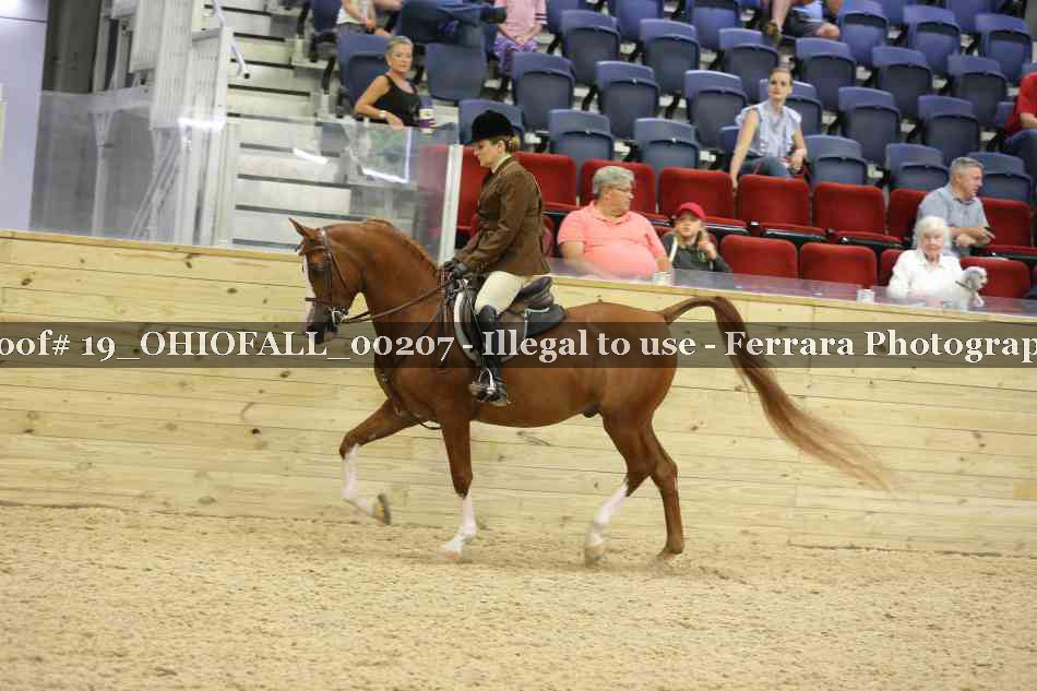 Proof 19_OHIOFALL_00207