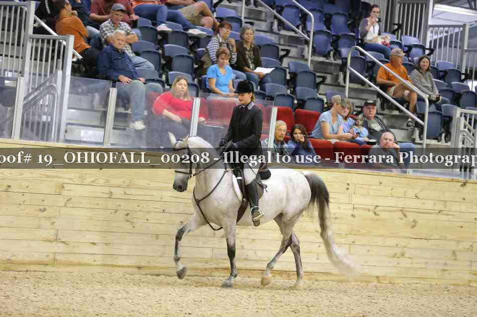 Proof 19_OHIOFALL_00208