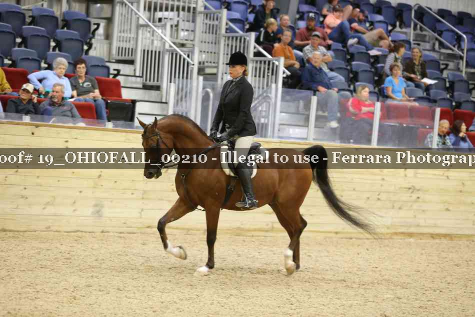 Proof 19_OHIOFALL_00210