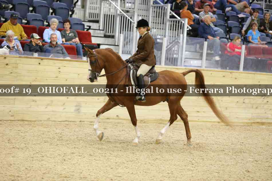 Proof 19_OHIOFALL_00211