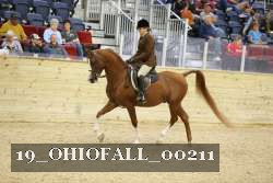 19_OHIOFALL_00211 proof