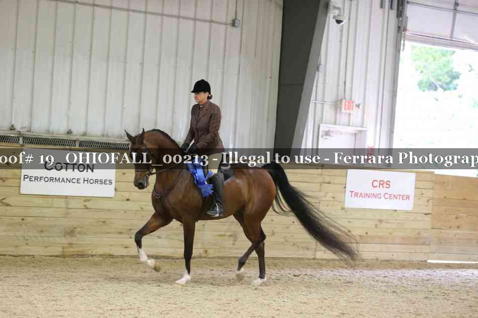 Proof 19_OHIOFALL_00213