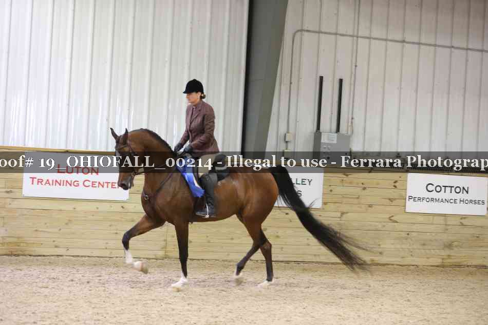 Proof 19_OHIOFALL_00214