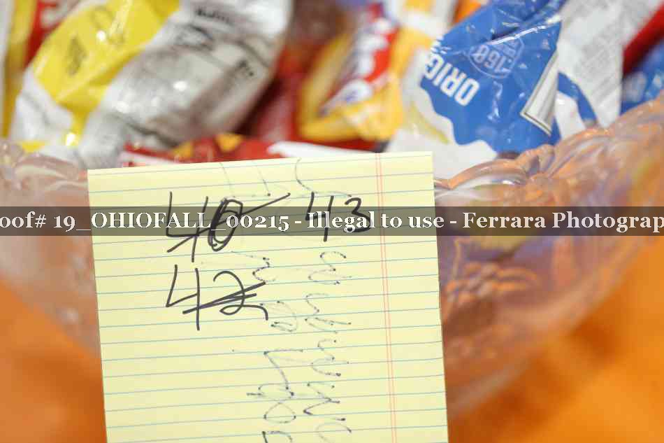 Proof 19_OHIOFALL_00215