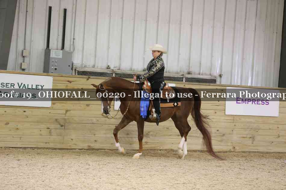 Proof 19_OHIOFALL_00220