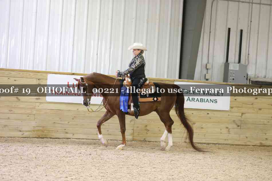 Proof 19_OHIOFALL_00221