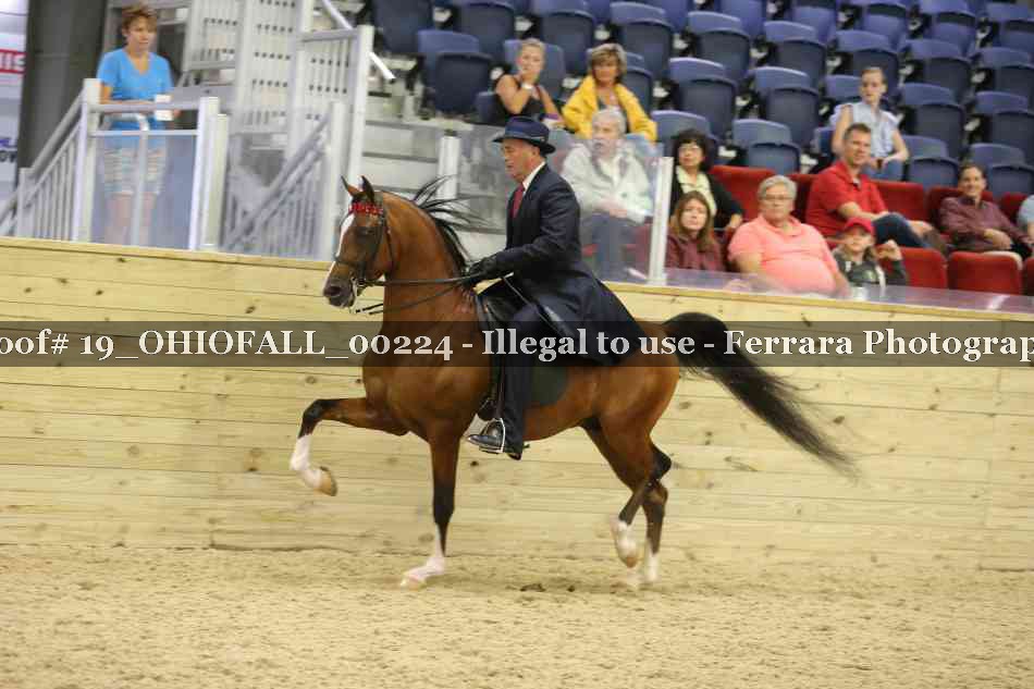 Proof 19_OHIOFALL_00224