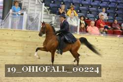 19_OHIOFALL_00224 proof