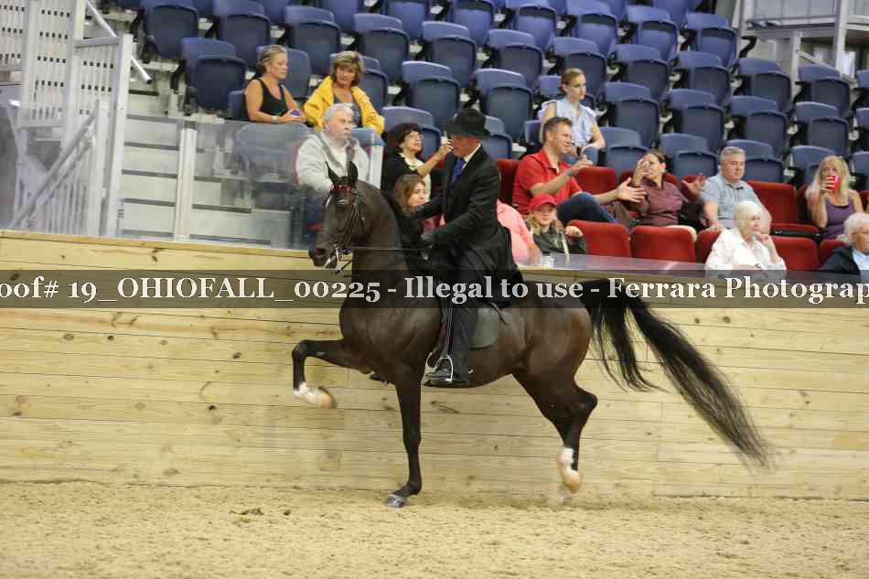 Proof 19_OHIOFALL_00225
