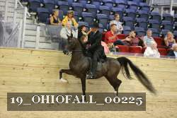 19_OHIOFALL_00225 proof