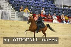 19_OHIOFALL_00226 proof