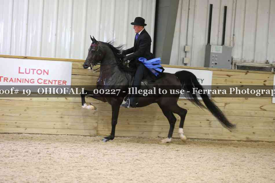 Proof 19_OHIOFALL_00227