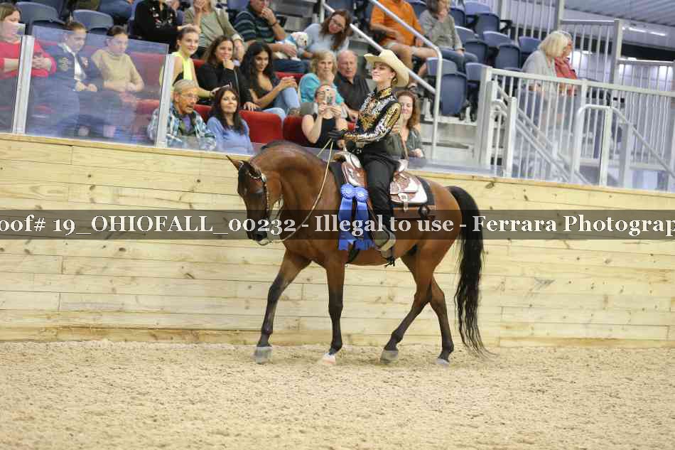 Proof 19_OHIOFALL_00232