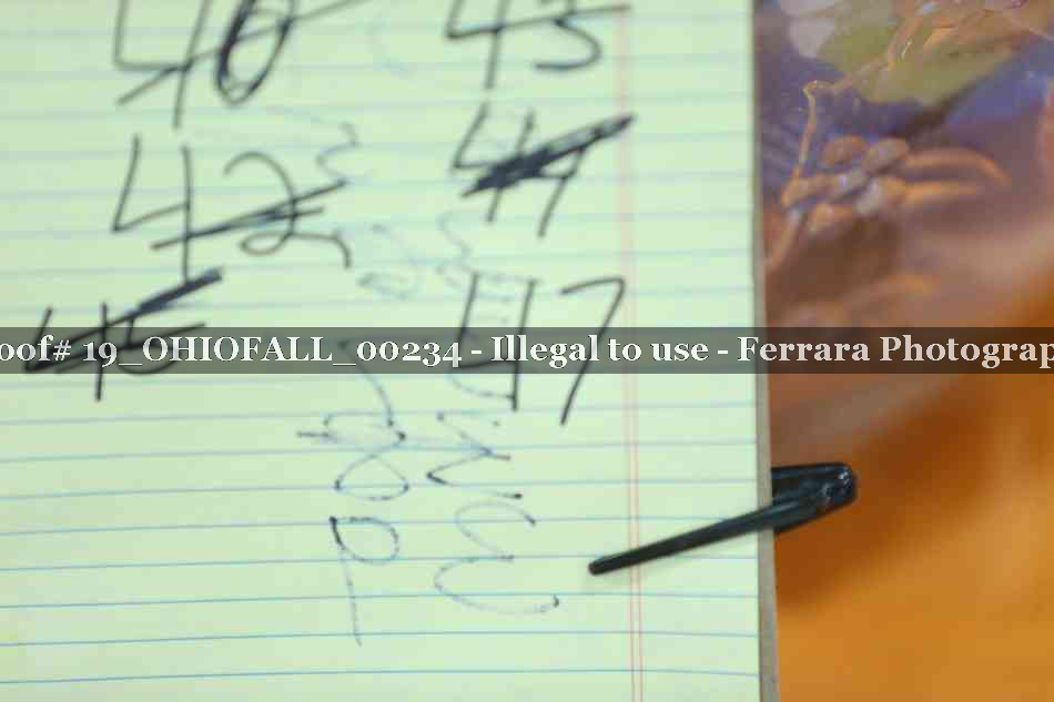Proof 19_OHIOFALL_00234