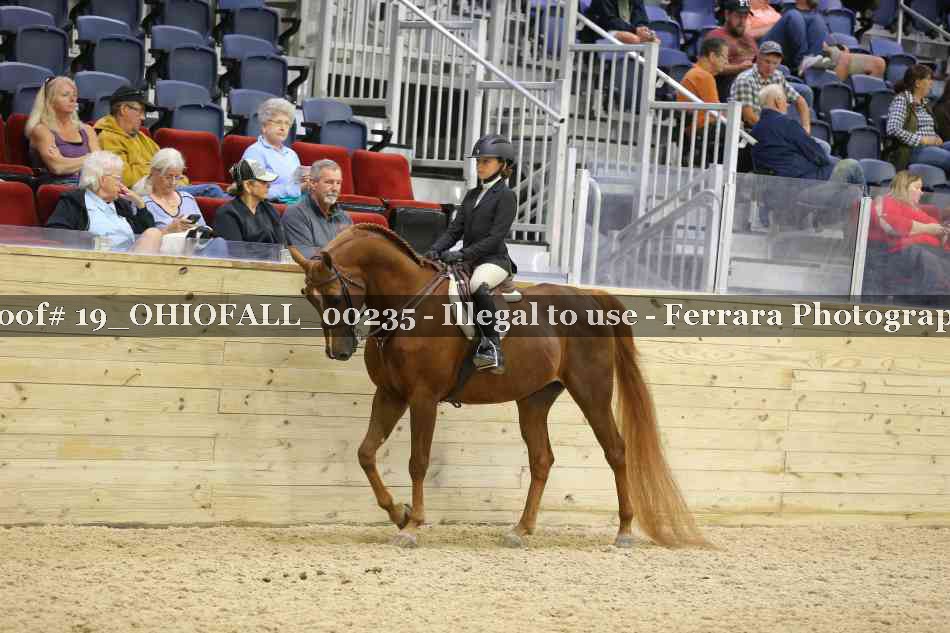 Proof 19_OHIOFALL_00235