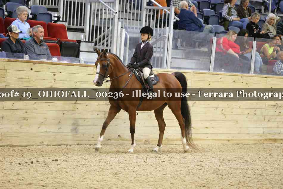 Proof 19_OHIOFALL_00236
