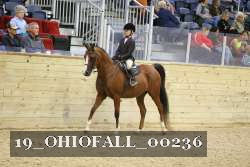 19_OHIOFALL_00236 proof