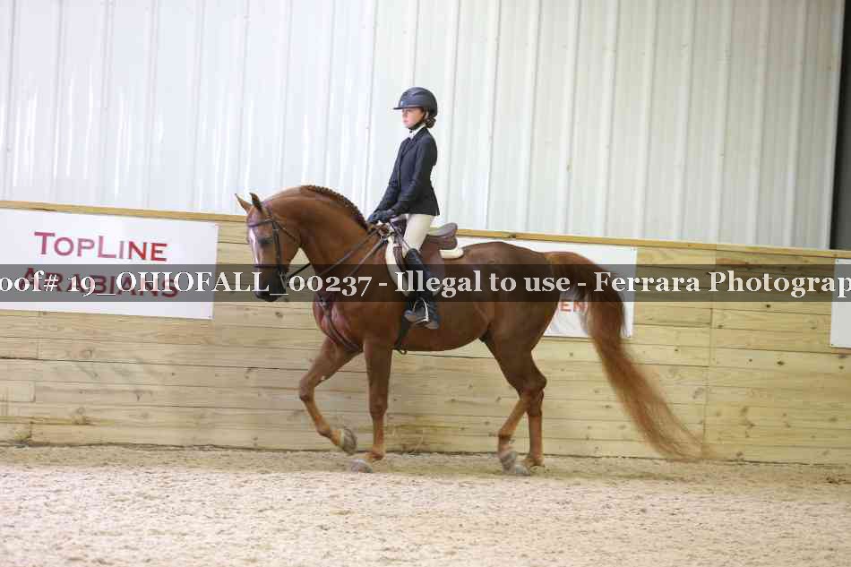 Proof 19_OHIOFALL_00237