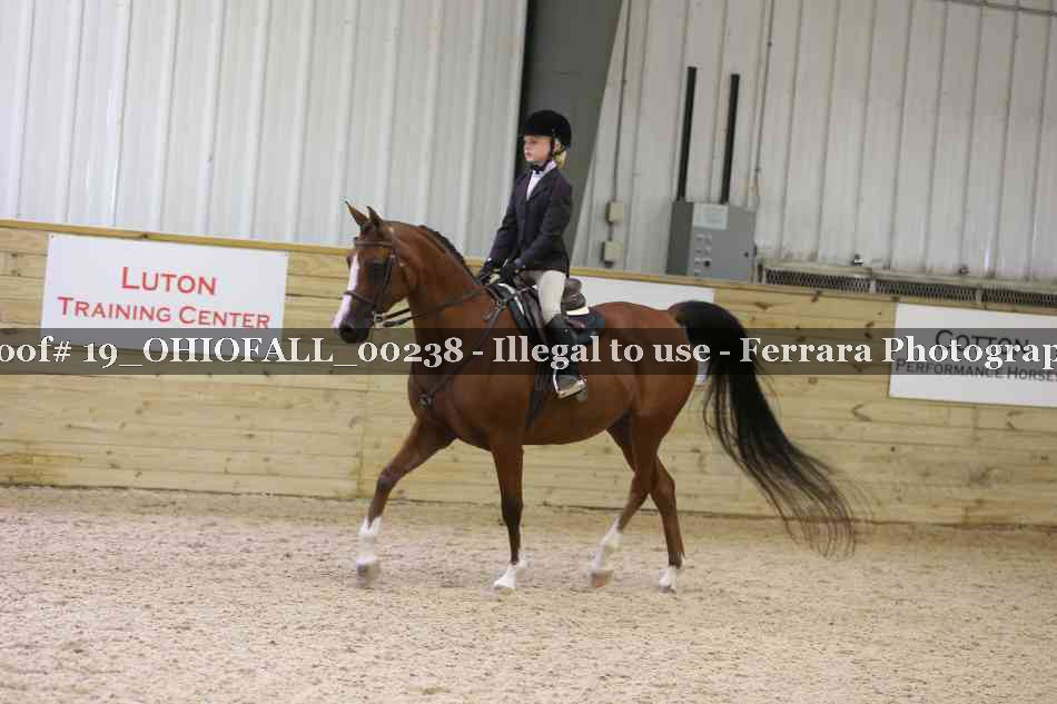 Proof 19_OHIOFALL_00238