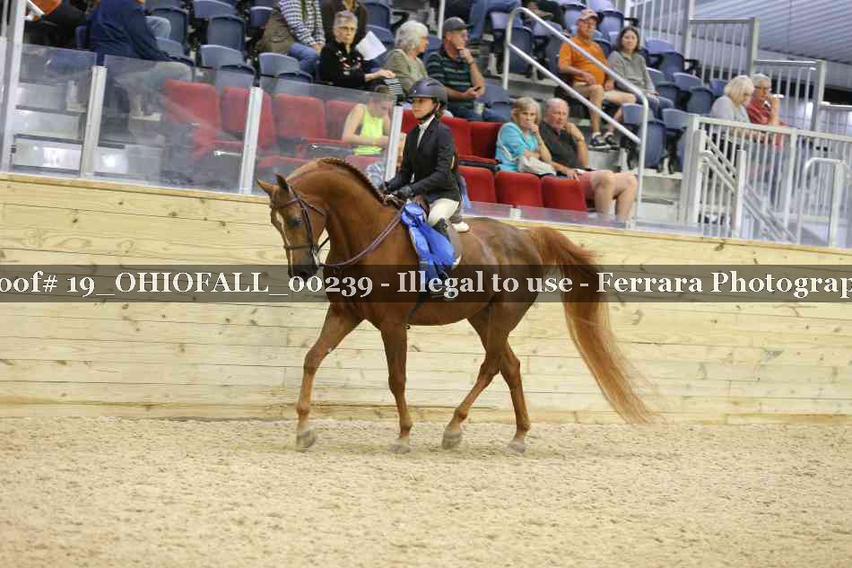 Proof 19_OHIOFALL_00239