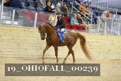 19_OHIOFALL_00239 proof