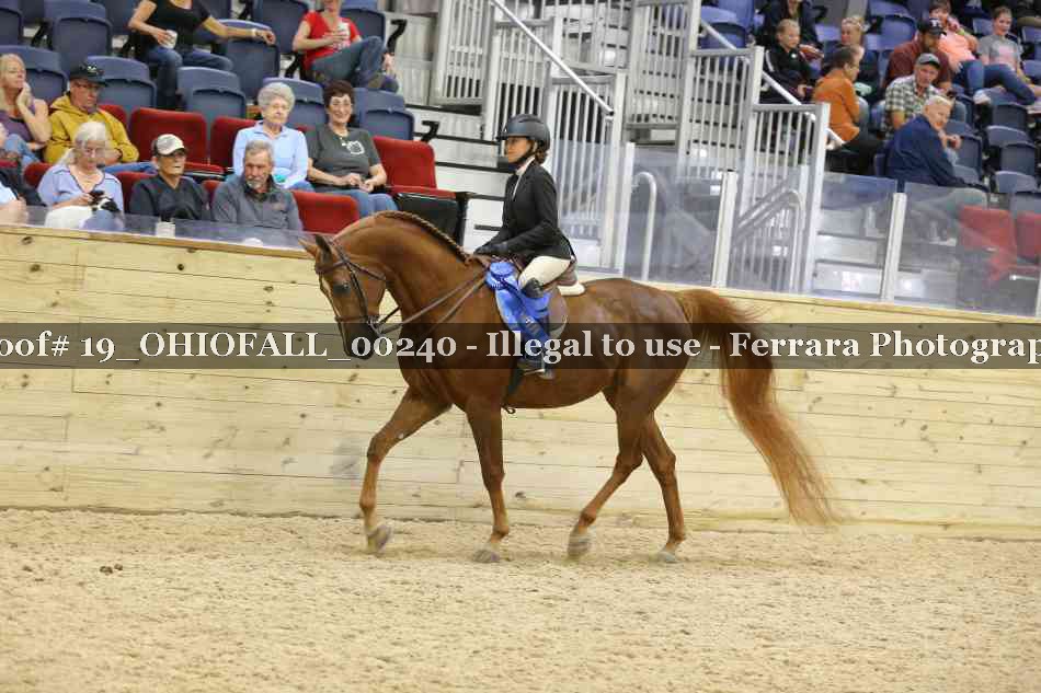Proof 19_OHIOFALL_00240