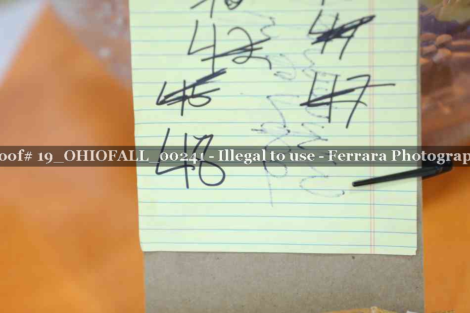 Proof 19_OHIOFALL_00241