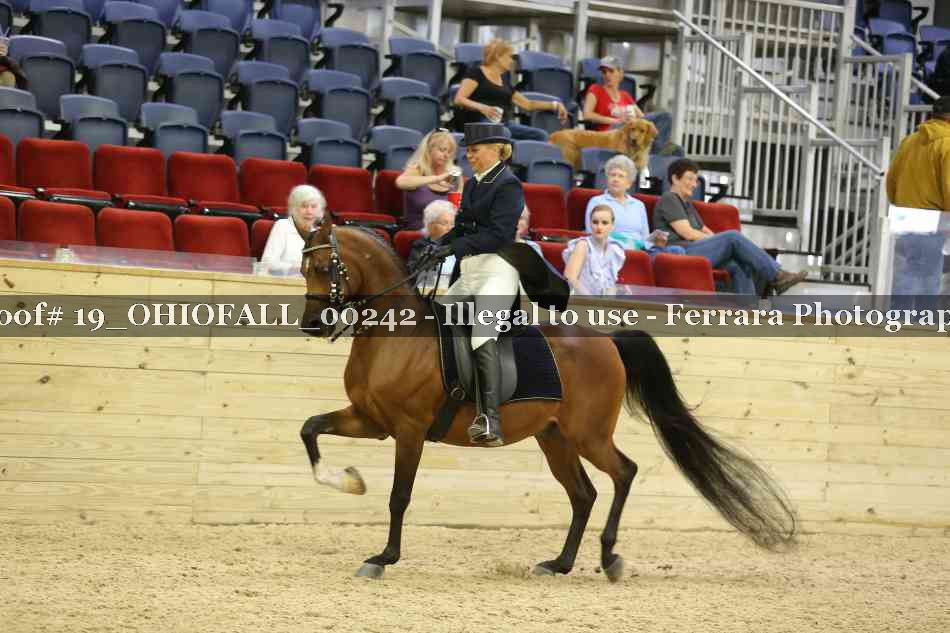 Proof 19_OHIOFALL_00242
