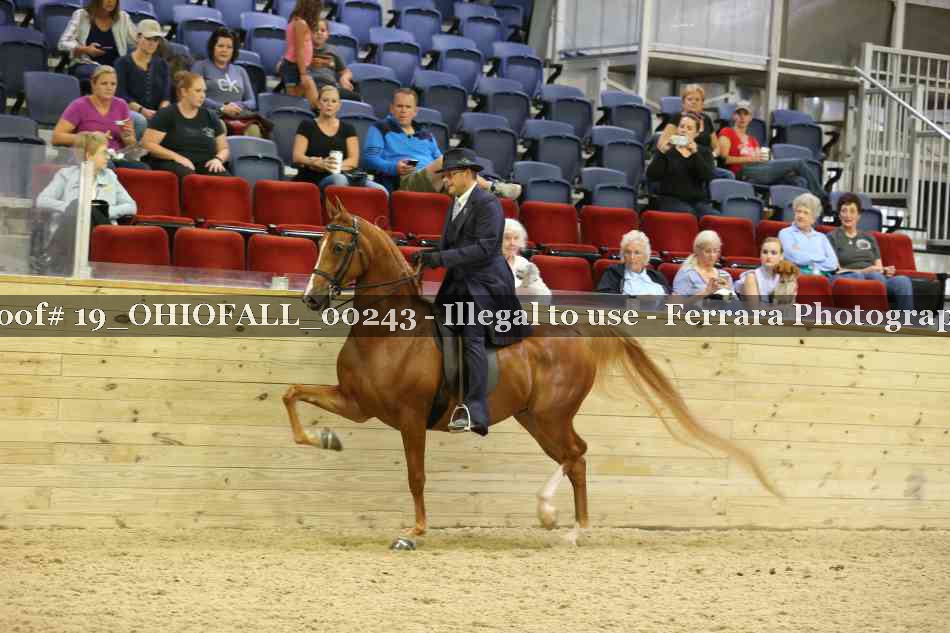 Proof 19_OHIOFALL_00243