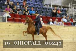 19_OHIOFALL_00243 proof