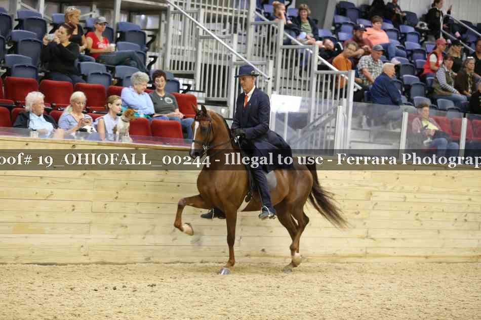 Proof 19_OHIOFALL_00244