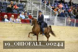 19_OHIOFALL_00244 proof