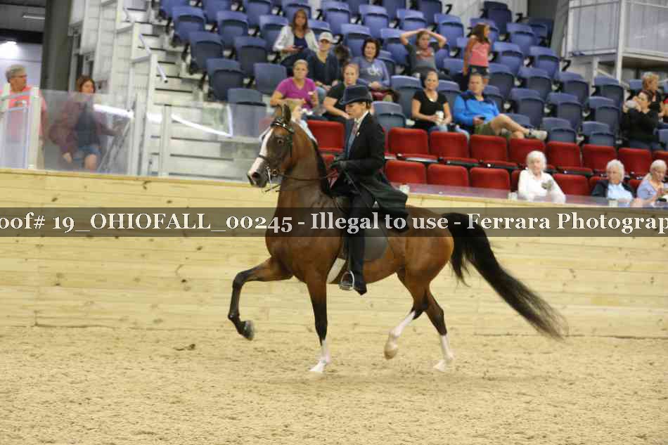 Proof 19_OHIOFALL_00245