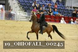 19_OHIOFALL_00245 proof