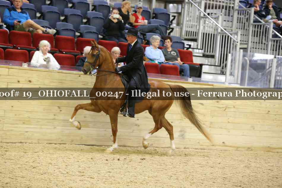 Proof 19_OHIOFALL_00247