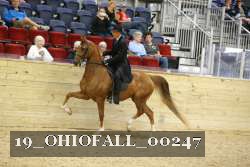 19_OHIOFALL_00247 proof