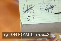 19_OHIOFALL_00248 proof
