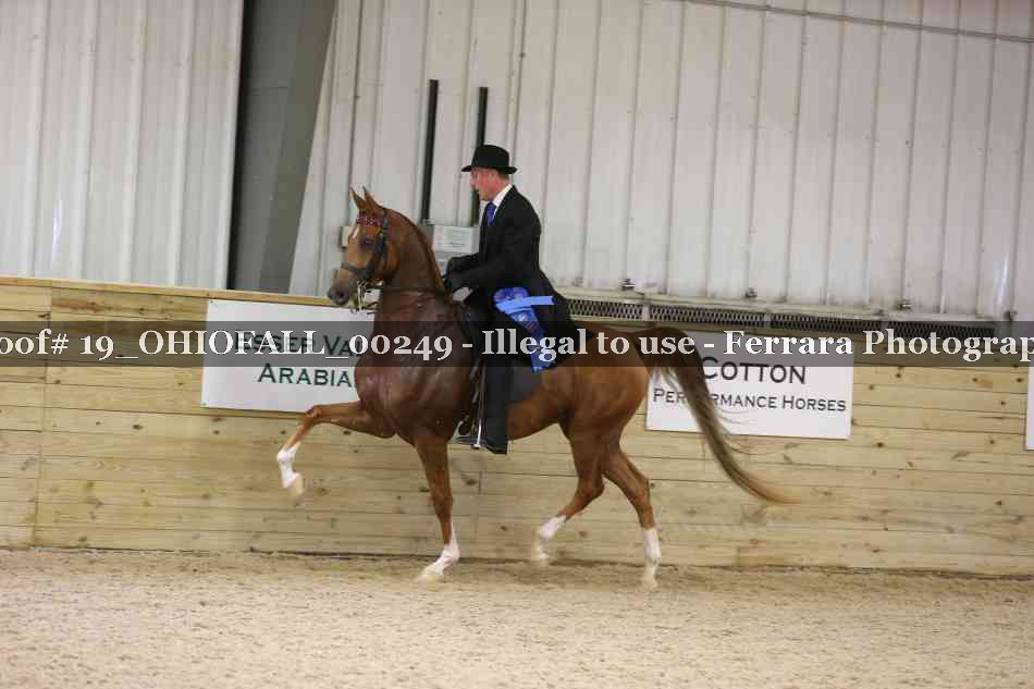 Proof 19_OHIOFALL_00249