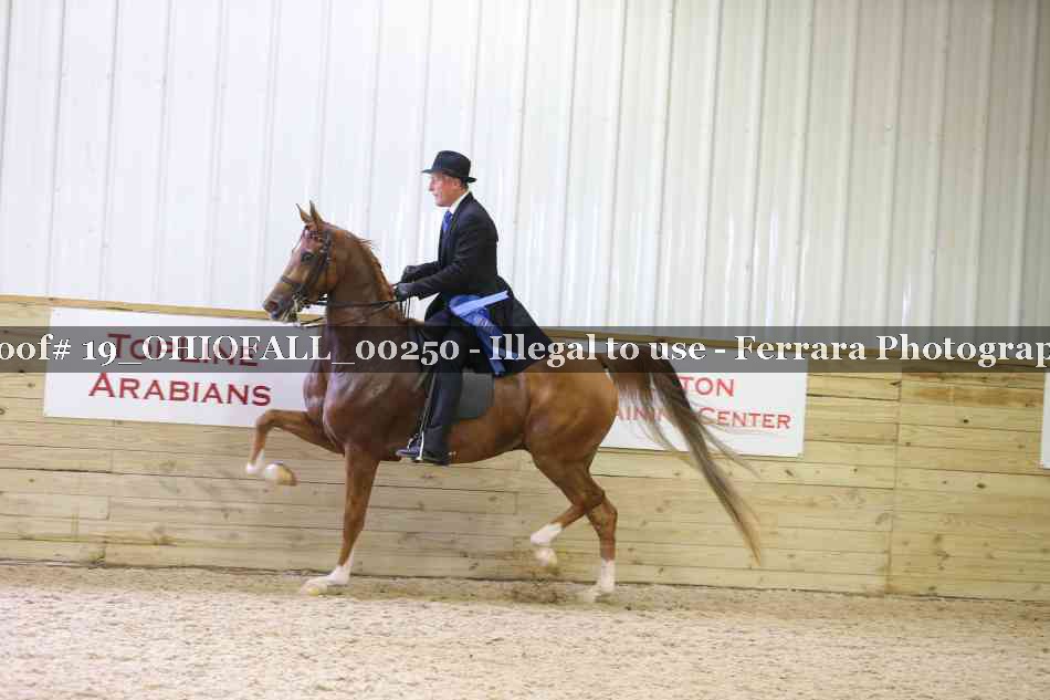 Proof 19_OHIOFALL_00250