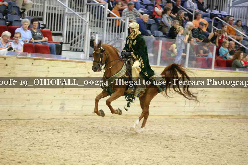Proof 19_OHIOFALL_00254